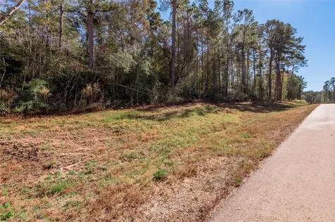 Tbd Grassland Court Huntsville TX 77340