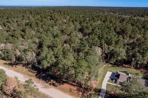 Tbd Grassland Court Huntsville TX 77340
