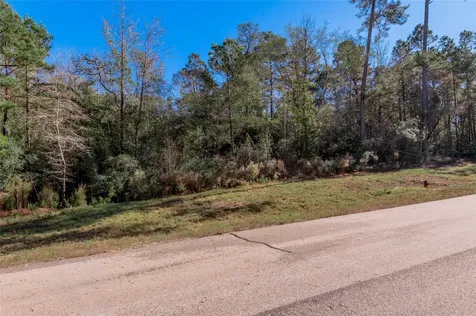 Tbd Grassland Court Huntsville TX 77340
