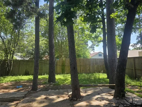 23322 Dew Wood Lane Spring TX 77373