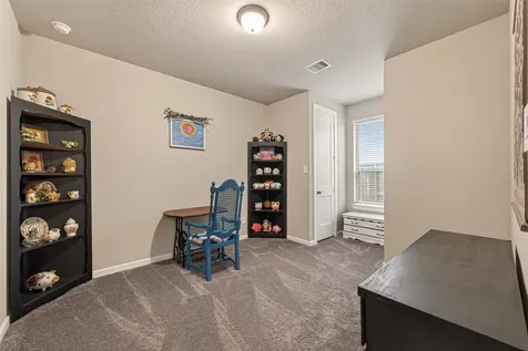30046 Cherry Sage Lane Fulshear TX 77423