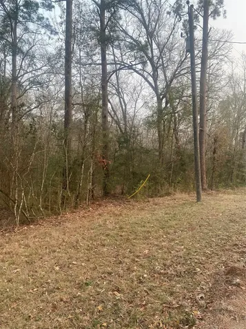Tbd Hill Creek Drive Coldspring TX 77331