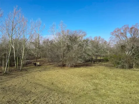 0 S Fm 46 Franklin TX 77856
