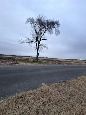 Lot 9 Richland Cove Corsicana TX 75109