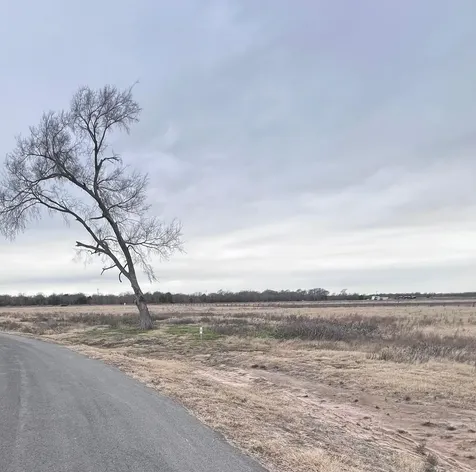 Lot 9 Richland Cove Corsicana TX 75109