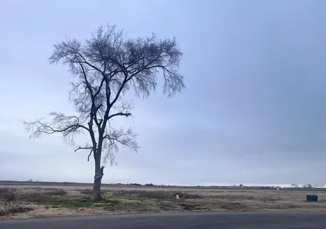 Lot 9 Richland Cove Corsicana TX 75109