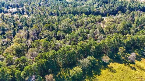 15821 Ridge Rock Road Willis TX 77378