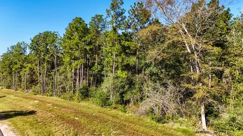 15821 Ridge Rock Road Willis TX 77378