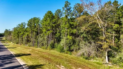 15821 Ridge Rock Road Willis TX 77378
