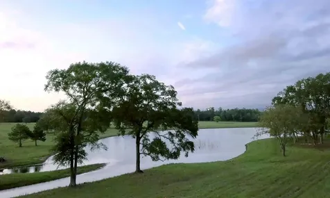 15821 Ridge Rock Road Willis TX 77378
