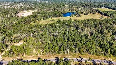15821 Ridge Rock Road Willis TX 77378