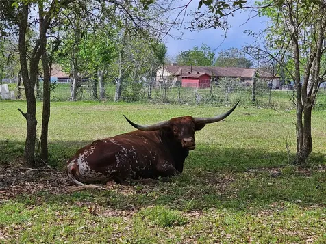 6814 Avenue O Santa Fe TX 77510