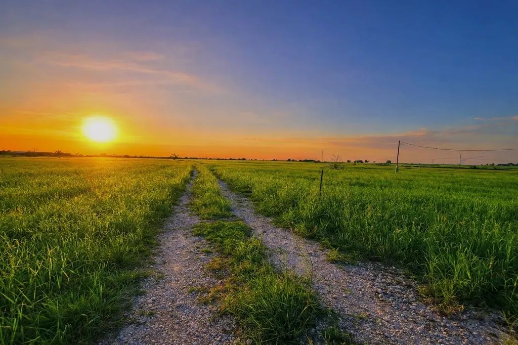 Tbd County Road 228 Tract 5 Bedias TX 77831
