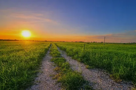 Tbd County Road 228 Tract 5 Bedias TX 77831