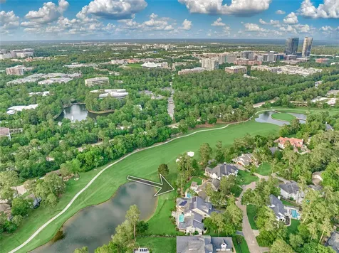 37 Doe Run Drive The Woodlands TX 77380
