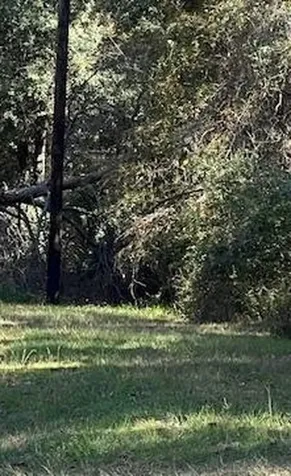 Tbd Clark Road Plantersville TX 77363