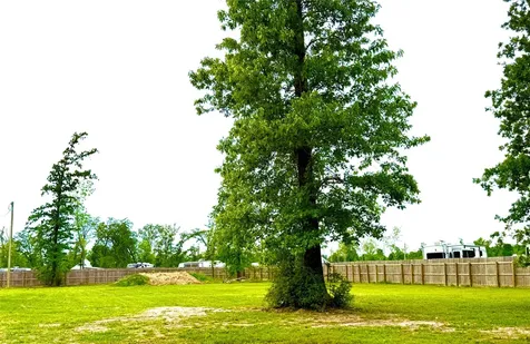 Tbd Lot 15 Pearl Court Onalaska TX 77360