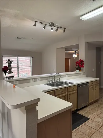 17442 S Summit Canyon Drive Houston TX 77095