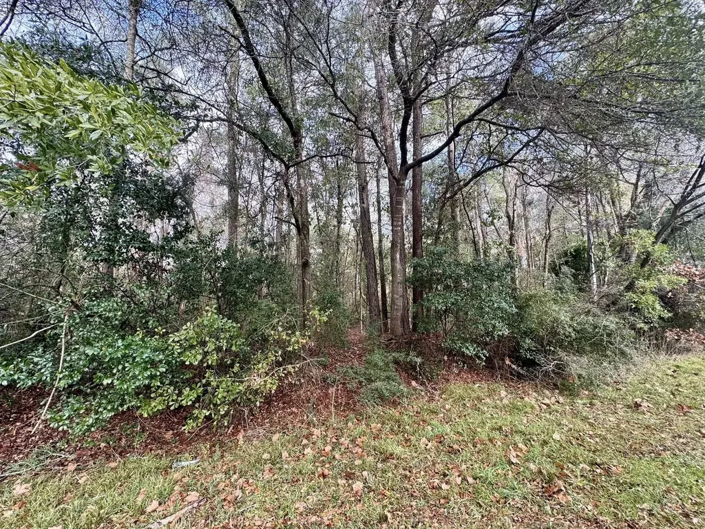 Tbd Fm 92 Woodville TX 75979