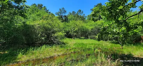 Tbd Cr 3233 Clarksville TX 75426