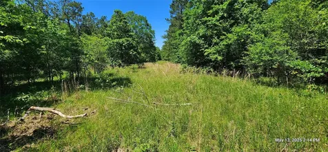 Tbd Cr 3233 Clarksville TX 75426