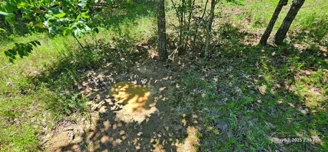 Tbd Cr 3233 Clarksville TX 75426