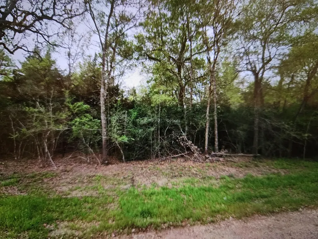 0 S Swan Lake Drive Caldwell TX 77836
