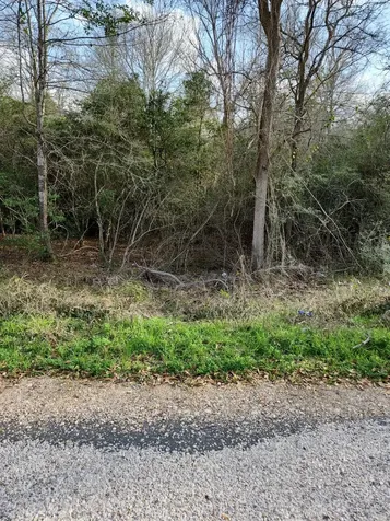 0 S Swan Lake Drive Caldwell TX 77836