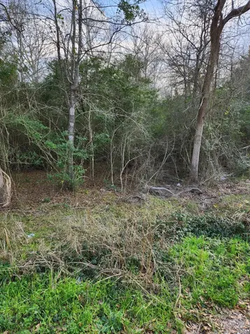 0 S Swan Lake Drive Caldwell TX 77836