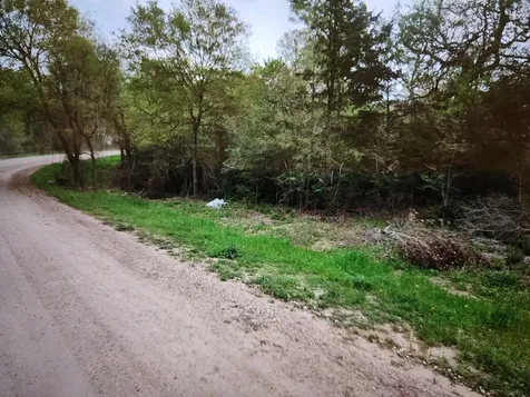 0 S Swan Lake Drive Caldwell TX 77836