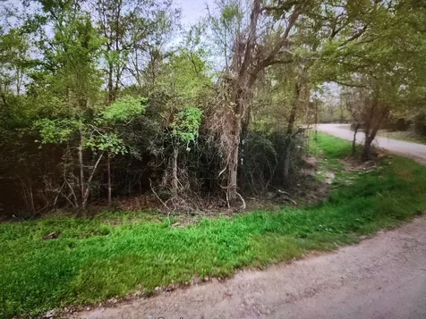 0 S Swan Lake Drive Caldwell TX 77836