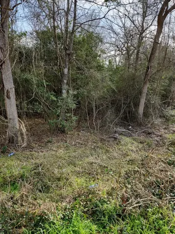 0 S Swan Lake Drive Caldwell TX 77836