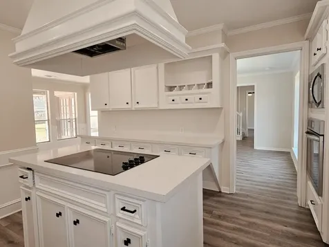 16627 Aldenham Place Spring TX 77379