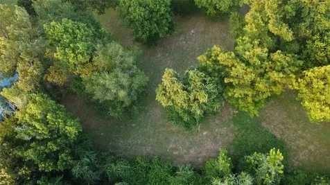 Tbd Paradise Drive Coldspring TX 77331