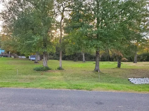 Tbd Paradise Drive Coldspring TX 77331
