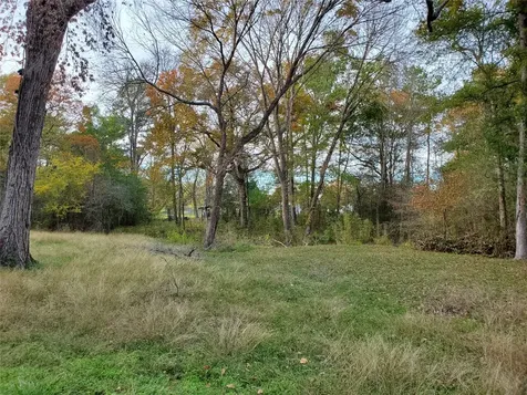 Tbd Paradise Drive Coldspring TX 77331