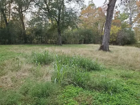 Tbd Paradise Drive Coldspring TX 77331