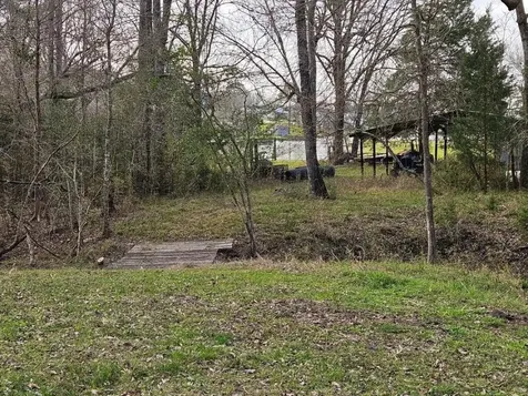 Tbd Paradise Drive Coldspring TX 77331