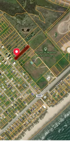 4118 Seabird Drive Galveston TX 77554