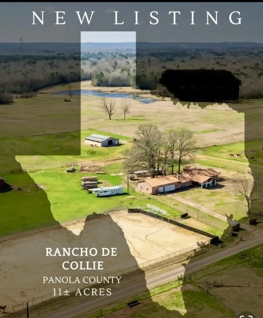 511 County Road 161 Long Branch TX 75669