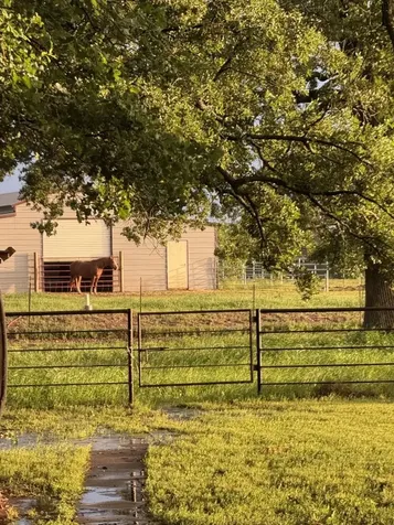 511 County Road 161 Long Branch TX 75669