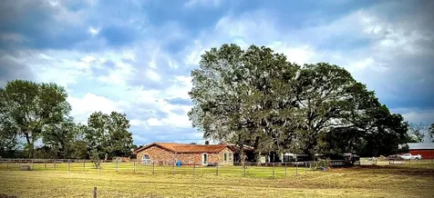 511 County Road 161 Long Branch TX 75669