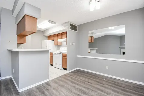 1515 Sandy Springs Road 1006 Houston TX 77042