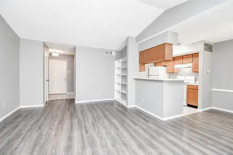 1515 Sandy Springs Road 1006 Houston TX 77042