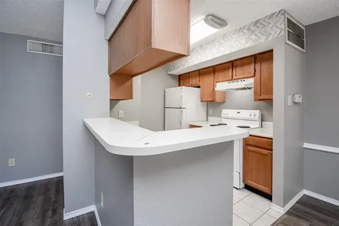 1515 Sandy Springs Road 1006 Houston TX 77042