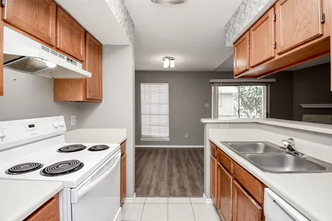 1515 Sandy Springs Road 1006 Houston TX 77042
