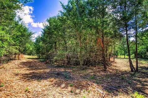 Lot 9 Wonder Hill Road Chappell Hill TX 77426