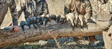 8 River Drive Trinity TX 75862