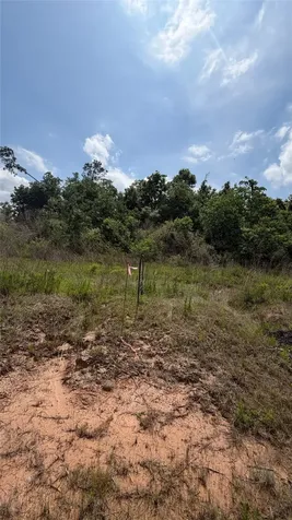 4030 Road 5914 17 Cleveland TX 77327