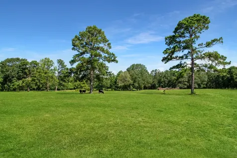 1080 Andrew Jackson Drive Livingston TX 77351
